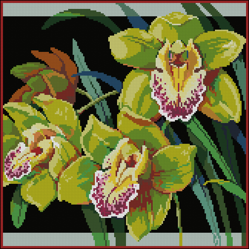 CMP JAN023 0387 Orchids