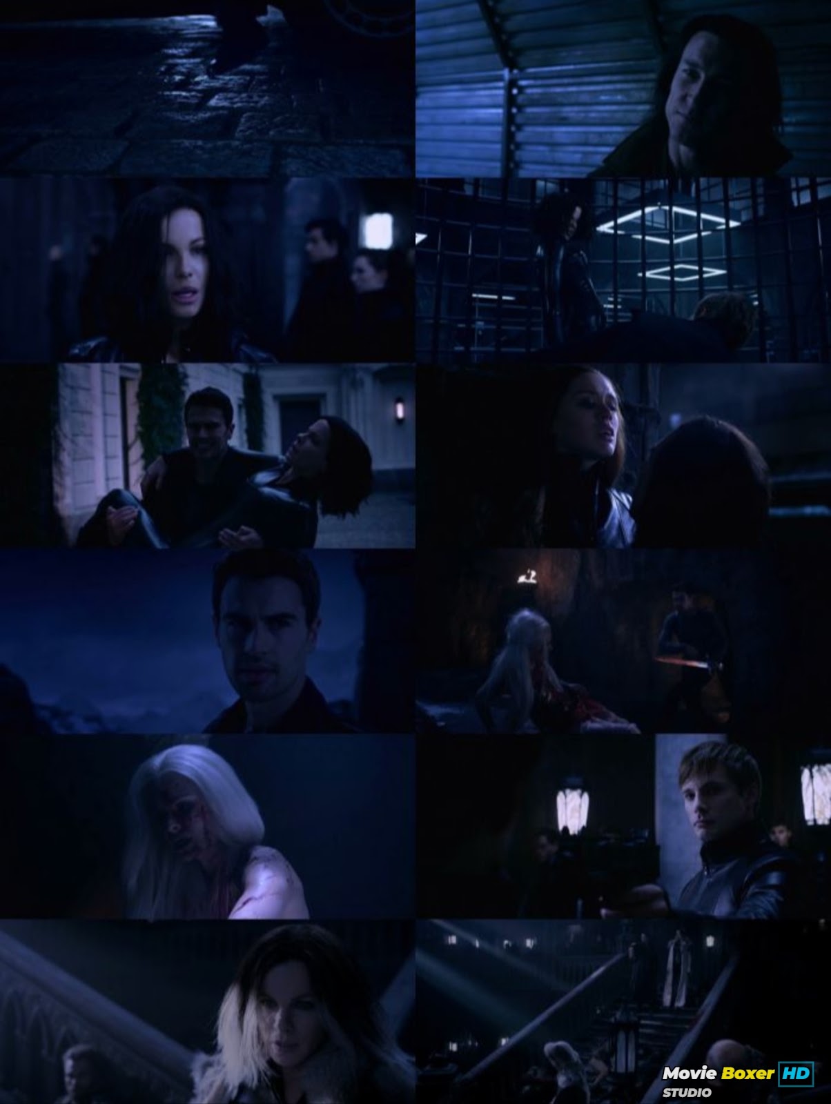 Screenshots Grid