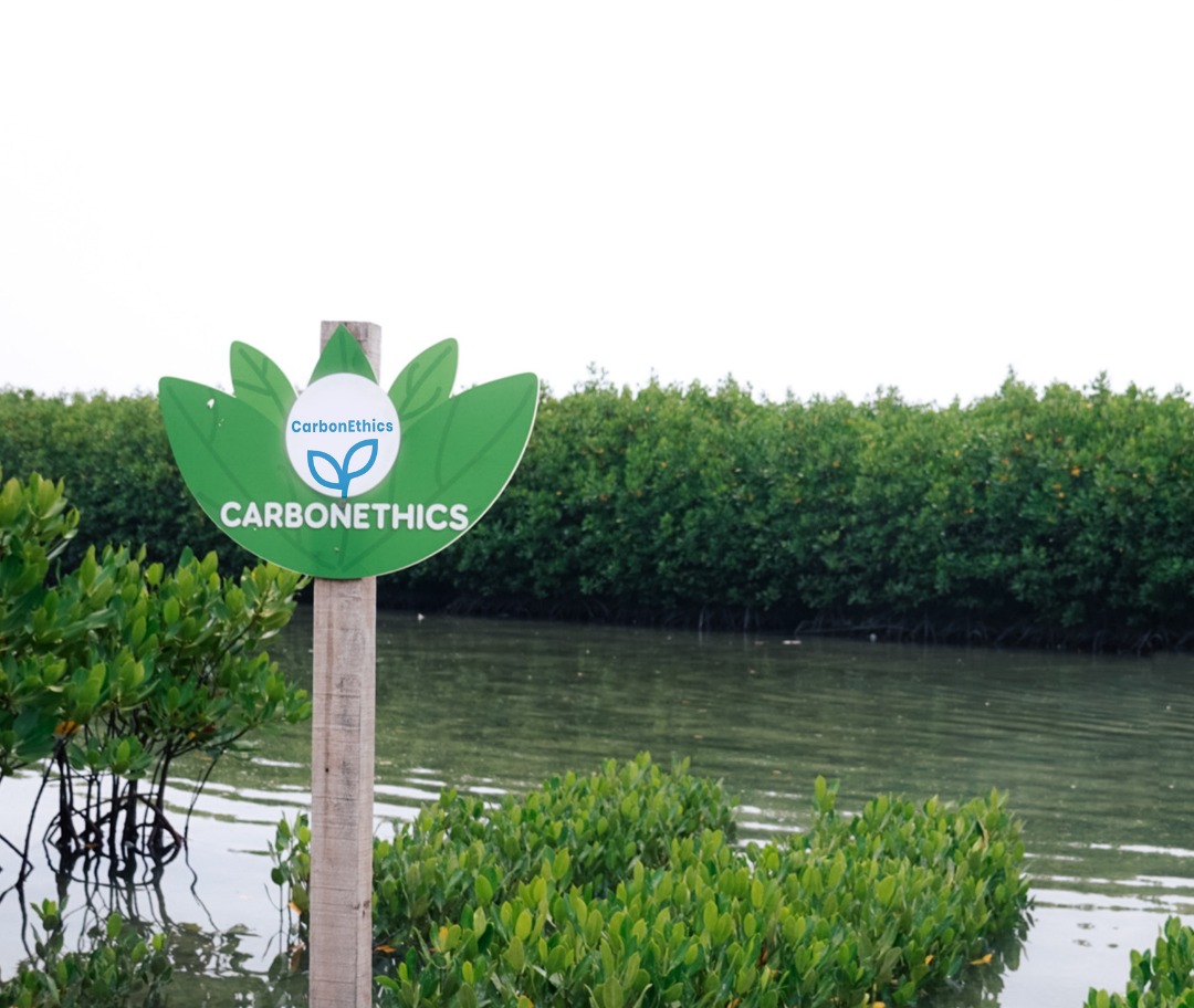 Dompak Island, Riau is an island in the archipelago with significant coastal potential, including rich seagrass beds, seagrass meadows, and mangroves.