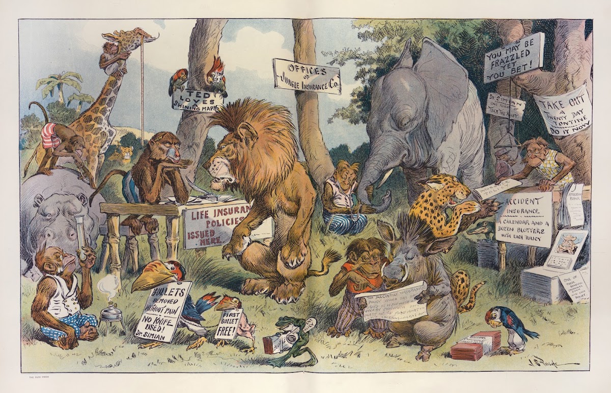 Anti Roosevelt policies 1908