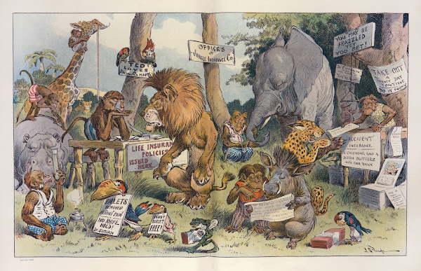 Anti Roosevelt policies 1908