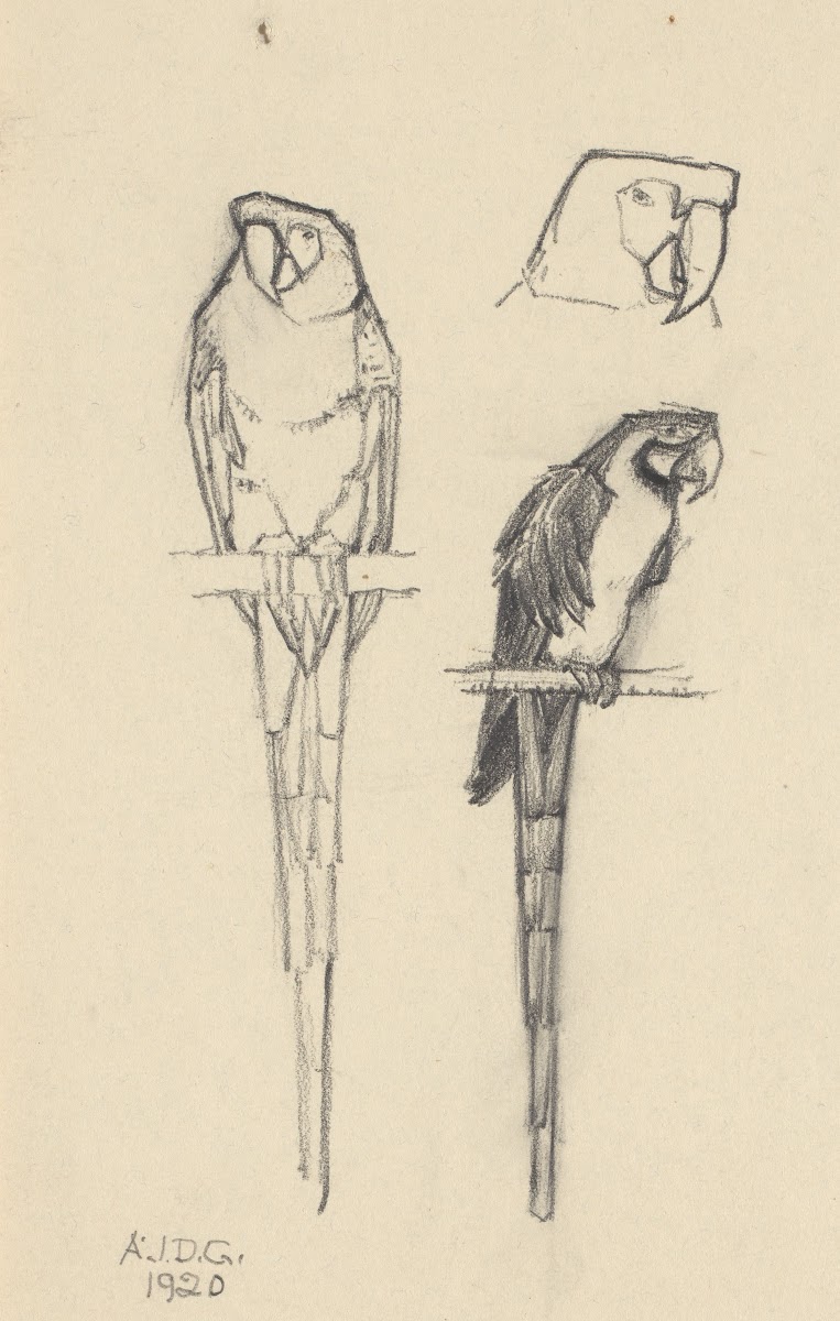 Parrots 1920