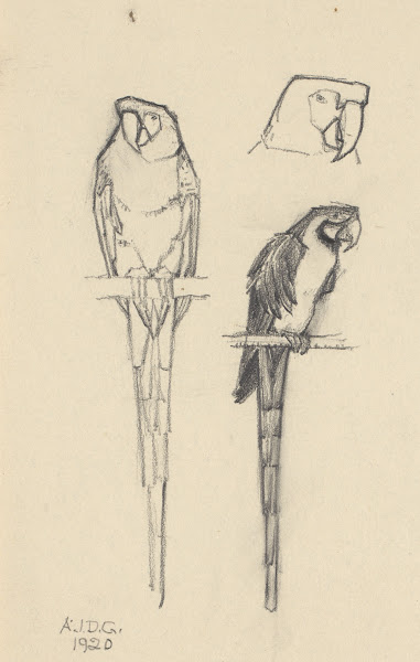 Parrots 1920