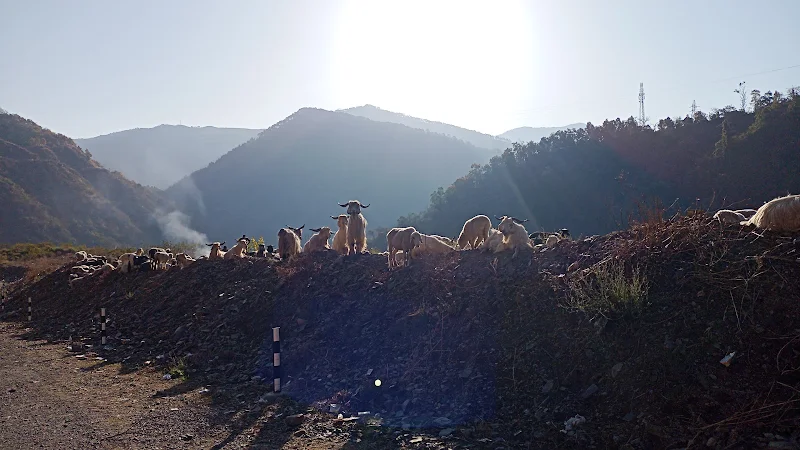 Rishikesh — frame 5