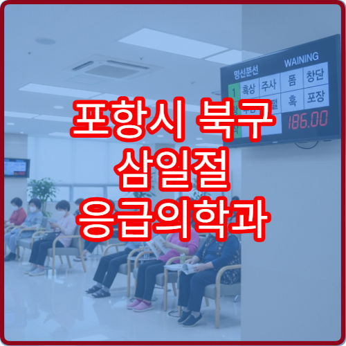 포항시 북구 삼일절 응급의학과 진료 휴일 응급진료 가능