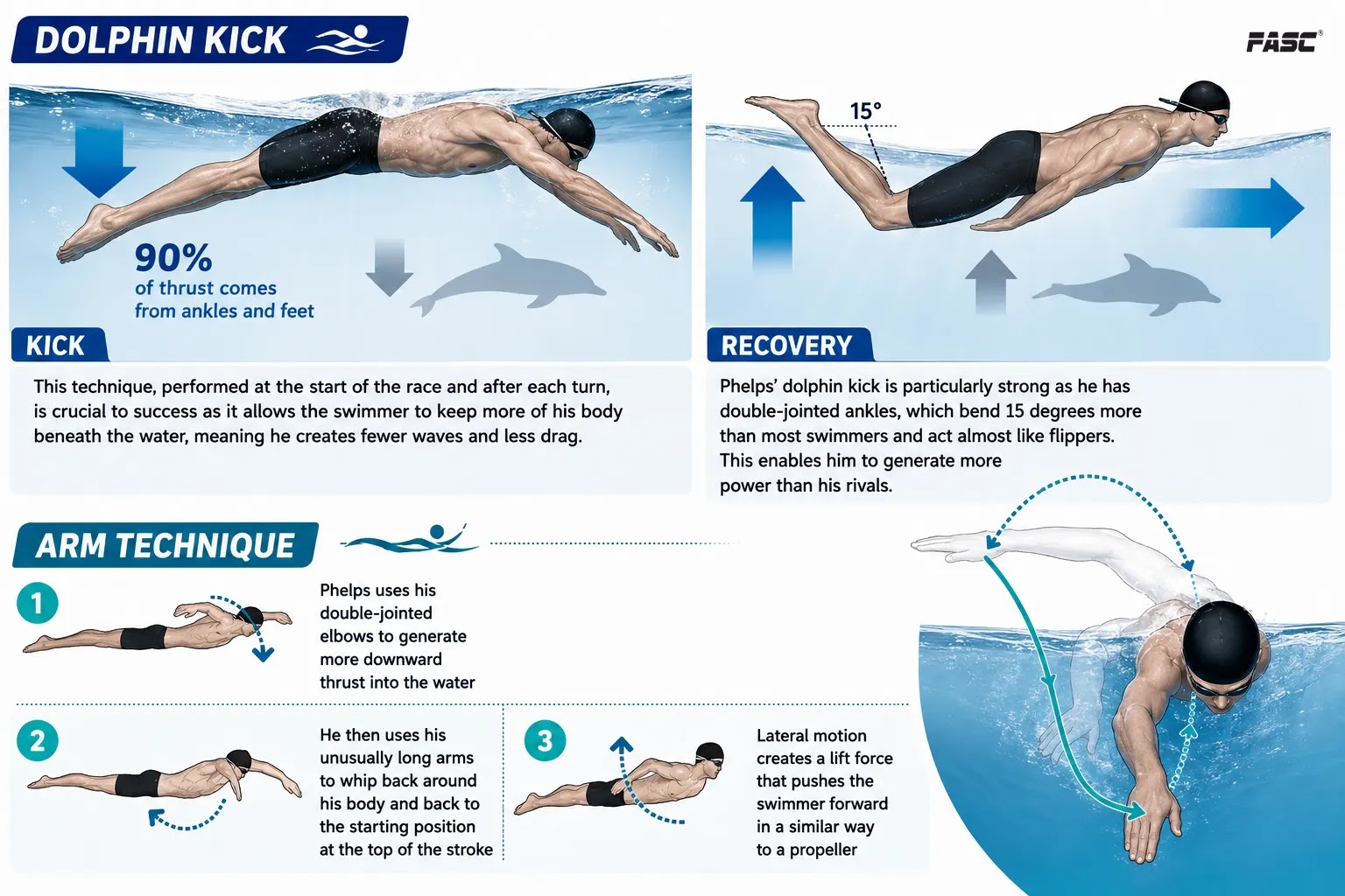Dolphin Swimming Style