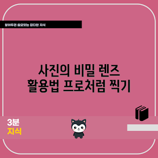핸드폰광학렌즈, 사진 초보, 스마트폰 사진, 카메라 렌즈, 촬영 팁