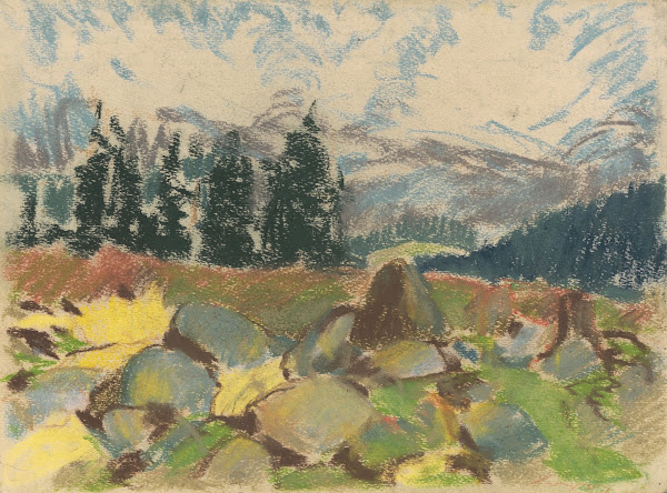 Summer Day on Rocky Forest Clearing 1934