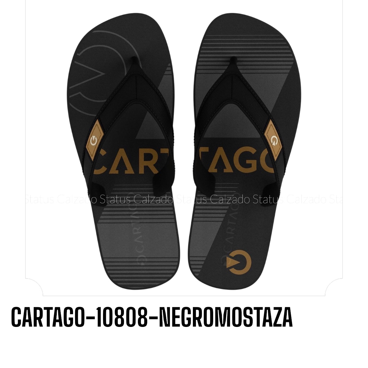 CARTAGO-10808-NEGROMOSTAZA