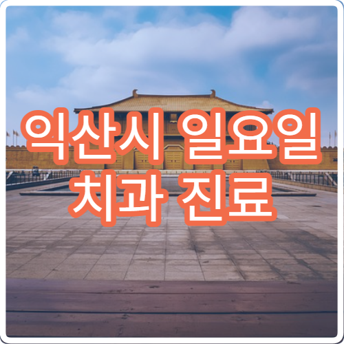 익산시 일요일 치과 진료 병원 – 사랑니 발치, 충치, 치통 응급 진료 가능한 곳