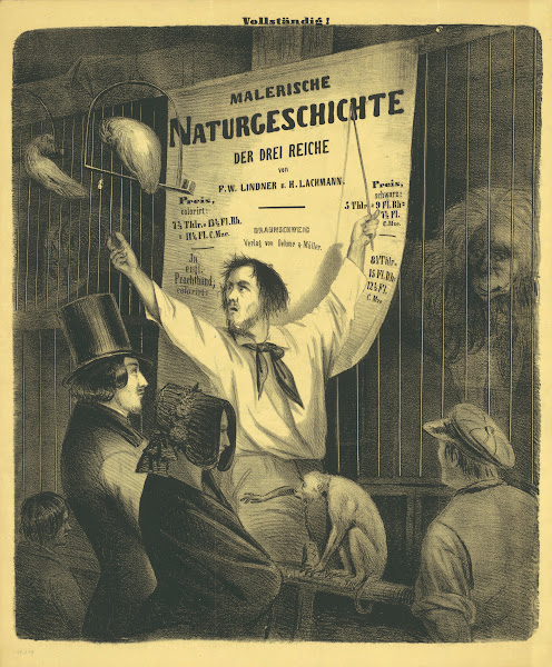 Malerische Naturgeschichte Der Drei Reiche Von F W Lindner Und H L Lachmann 1844