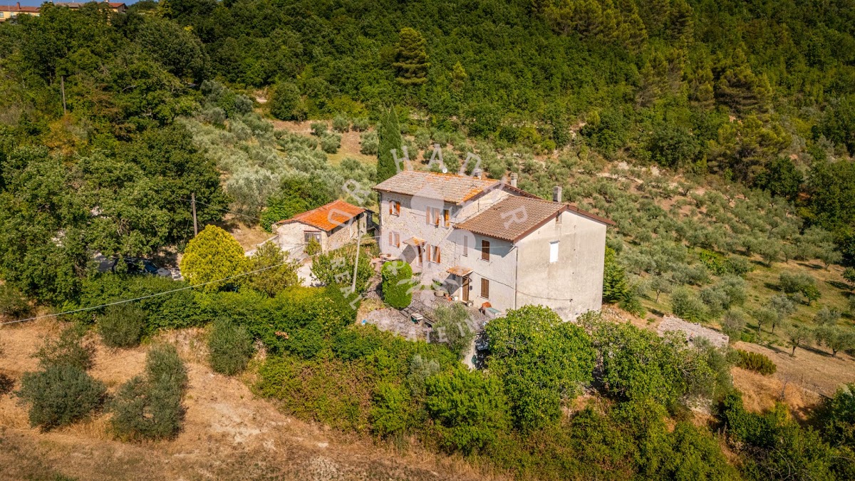 קזאלה דיי צ'ילייג'י (Casale dei Ciliegi) — 7