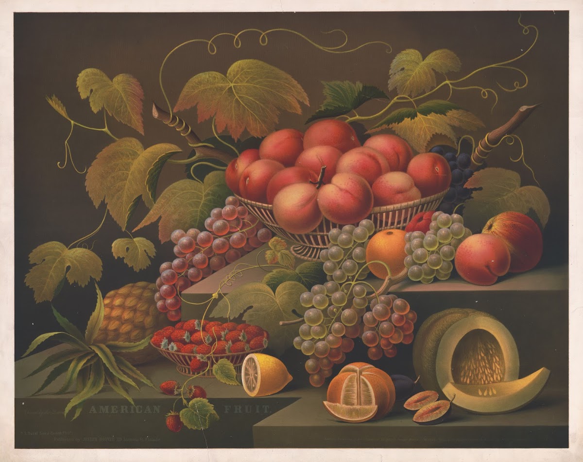 American fruit 1867