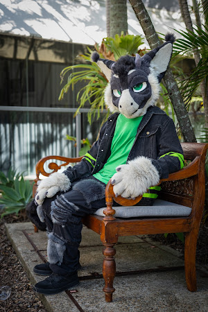 furdu-03982.jpg