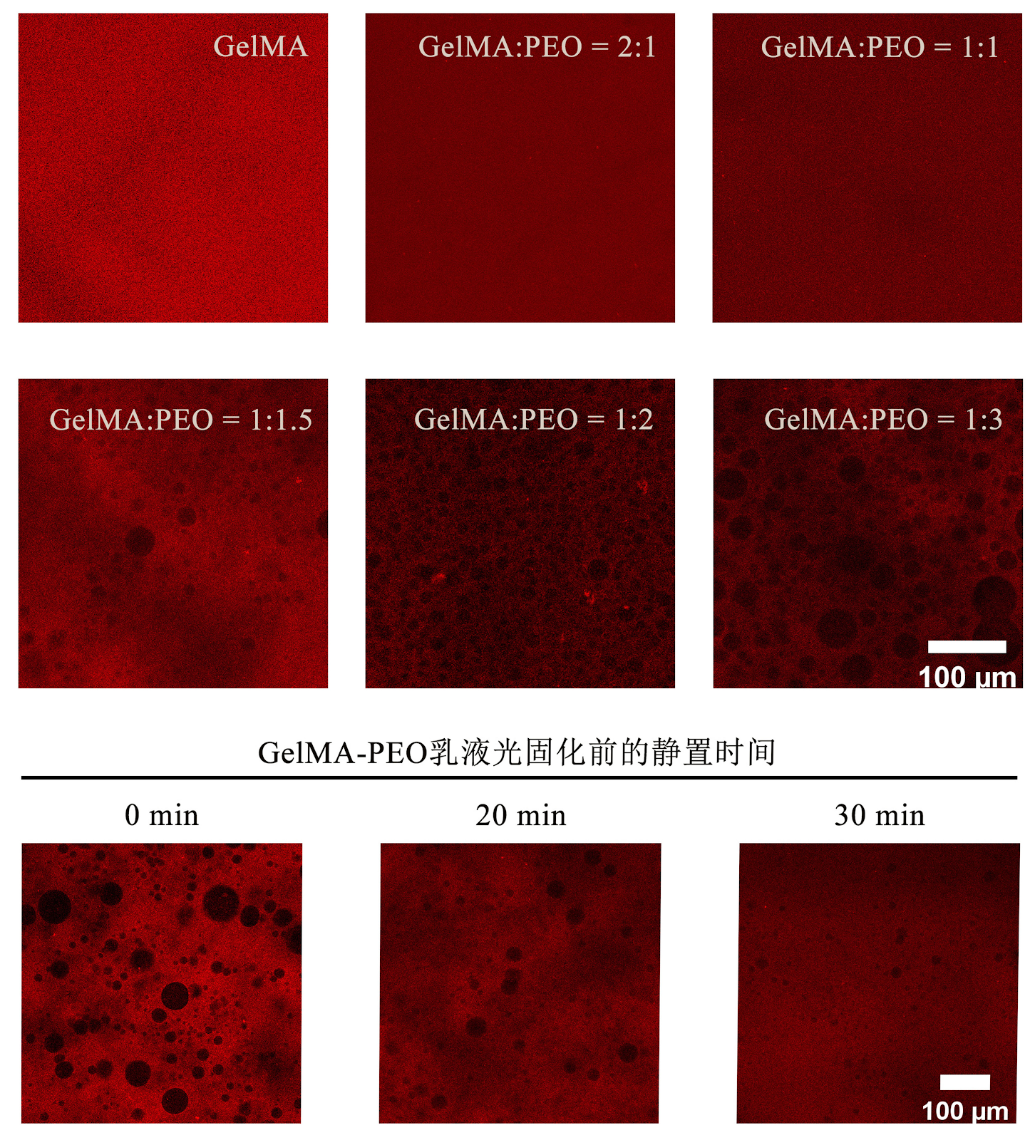 Construction and performance evaluation of pre-vascularized three-dimensional porous bioprinted hydrogel