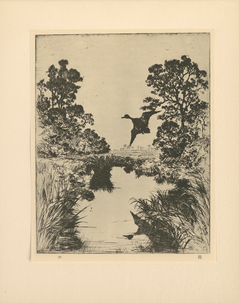 Evening 20th Century