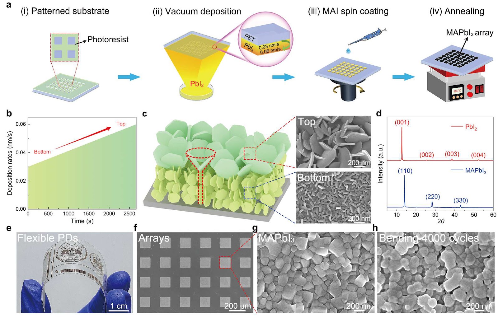 Funnel-shaped precursor engineering for high-performance flexible perovskite photodetectors