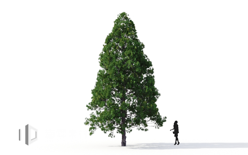Maxtree - Plant Models Vol.9