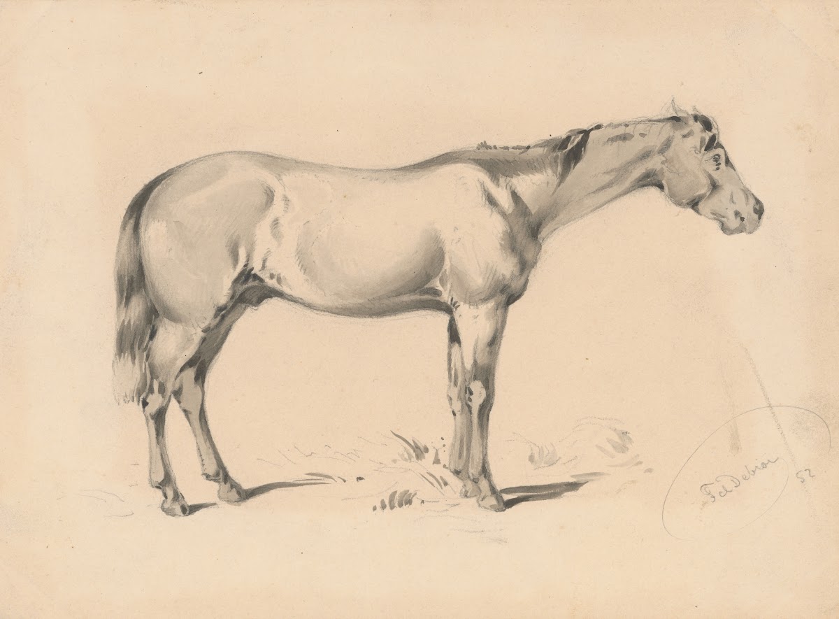 Study of a Horse I