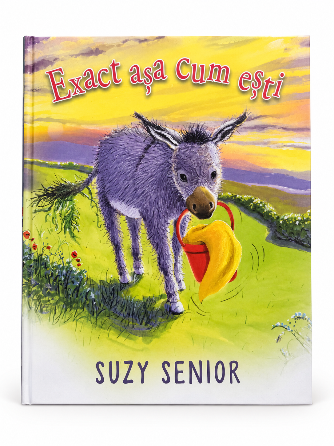 Exact așa cum ești – Suzy Senior