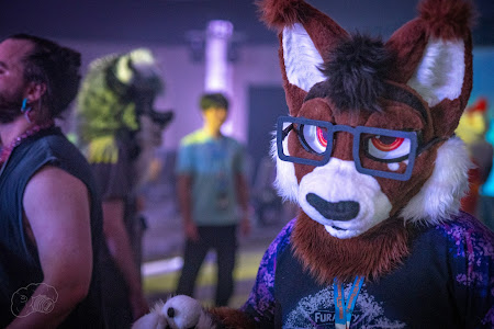 furdu-03734.jpg