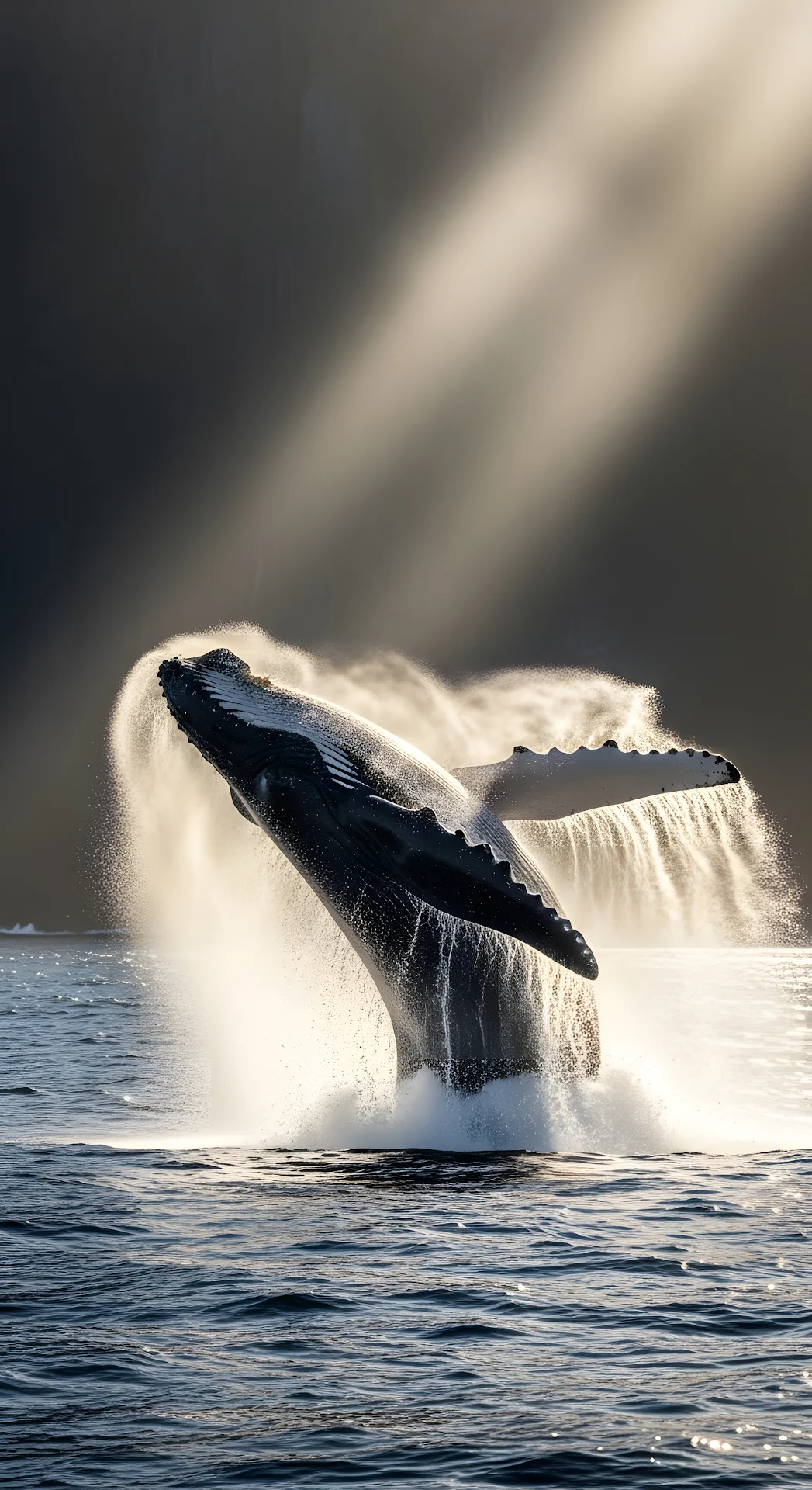 Dramatic Close-Up of a Humpback Whale Breaching in Sunlit Mist Near a Cliff Face - Free 4K mobile Wallpaper