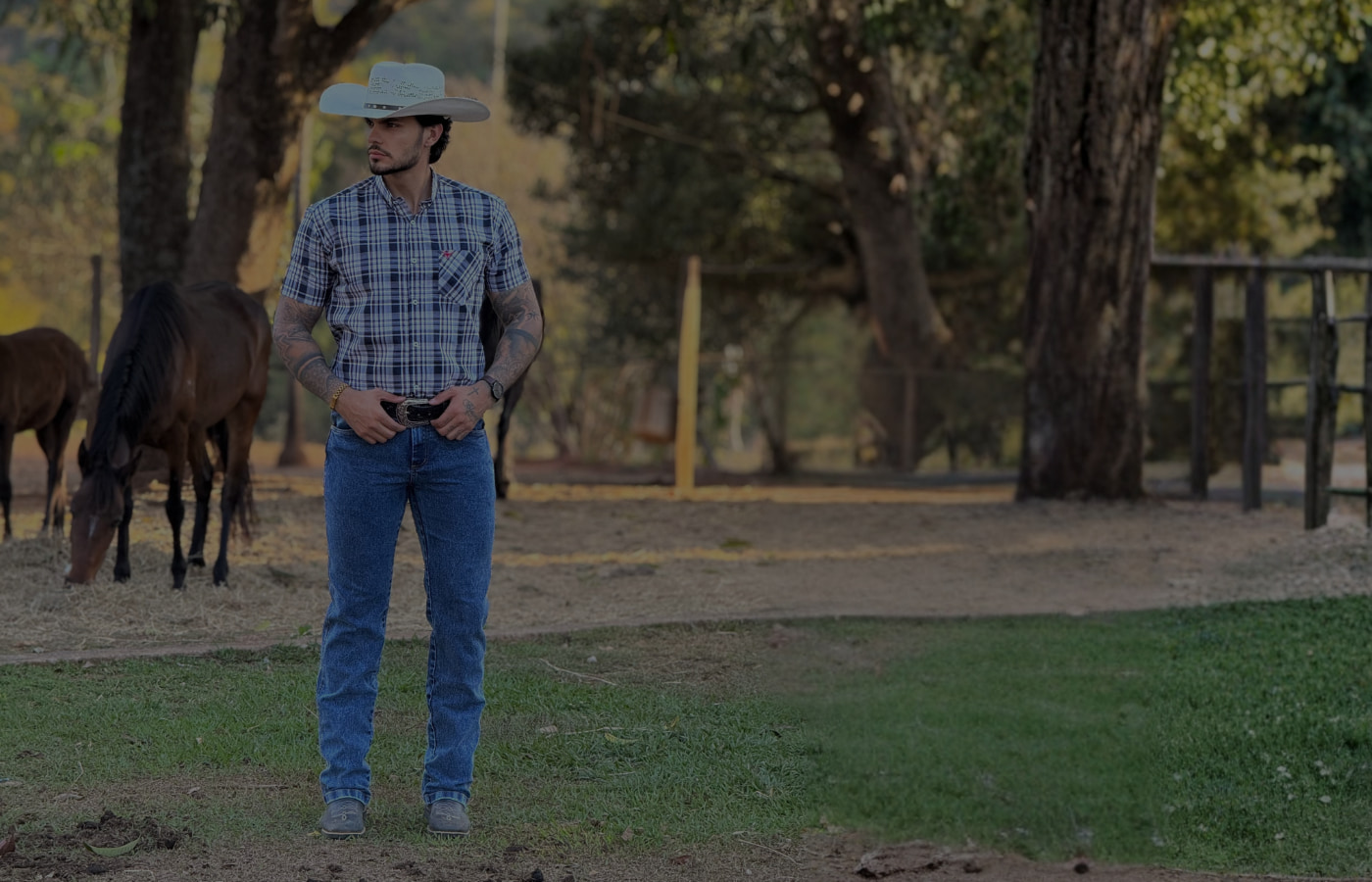 Moda country