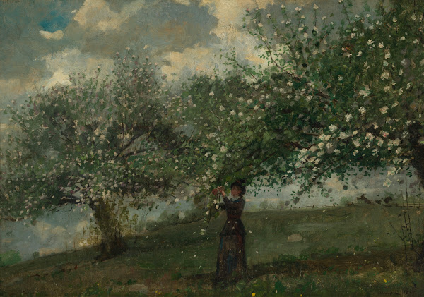 Girl Picking Apple Blossoms 1879