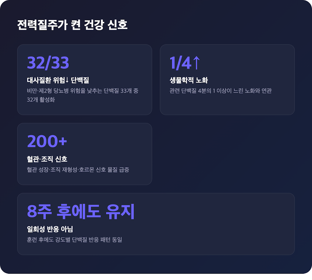 전력질주 운동이 대사질환 위험 감소 단백질 33개 중 32개를 활성화한 핵심 결과 포인트 카드