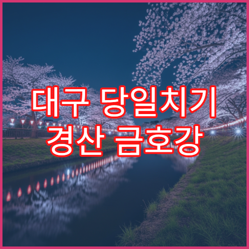 대구 당일치기 경산 금호강 벚꽃 대중교통 경산역 15분 접근법