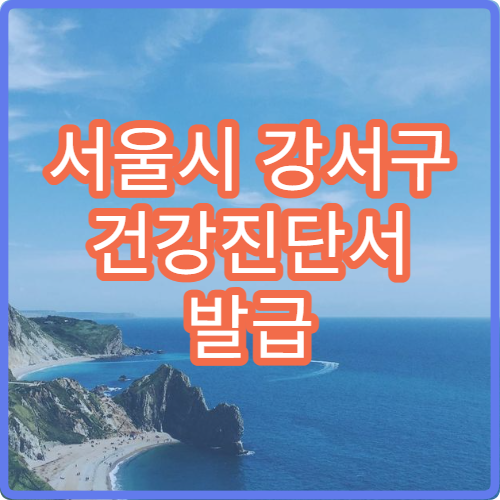 서울시 강서구 건강진단서 발급 비용 보건소 발급 가능 여부 확인