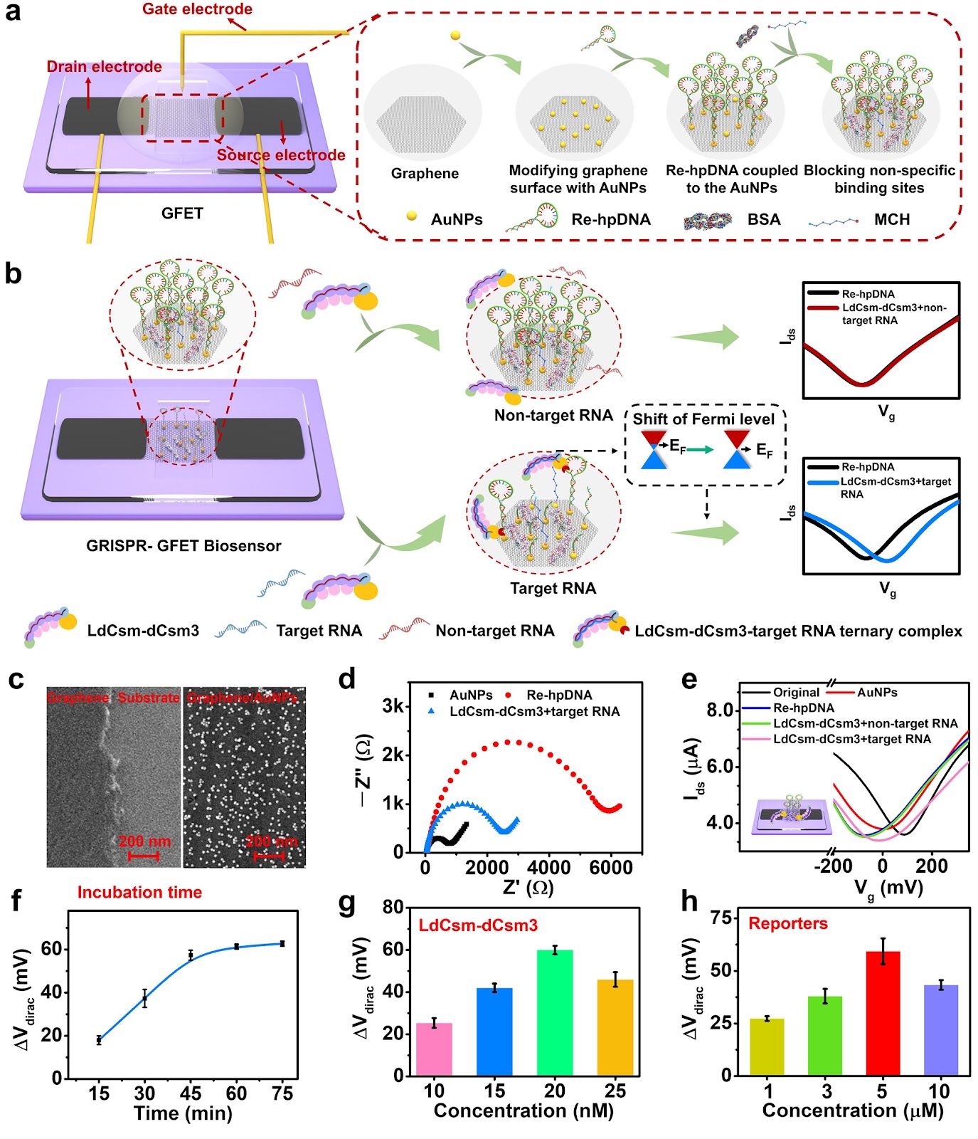 Universal Amplification-Free RNA Detection by Integrating CRISPR-Cas10 with Aptameric Graphene Field-Effect Transistor