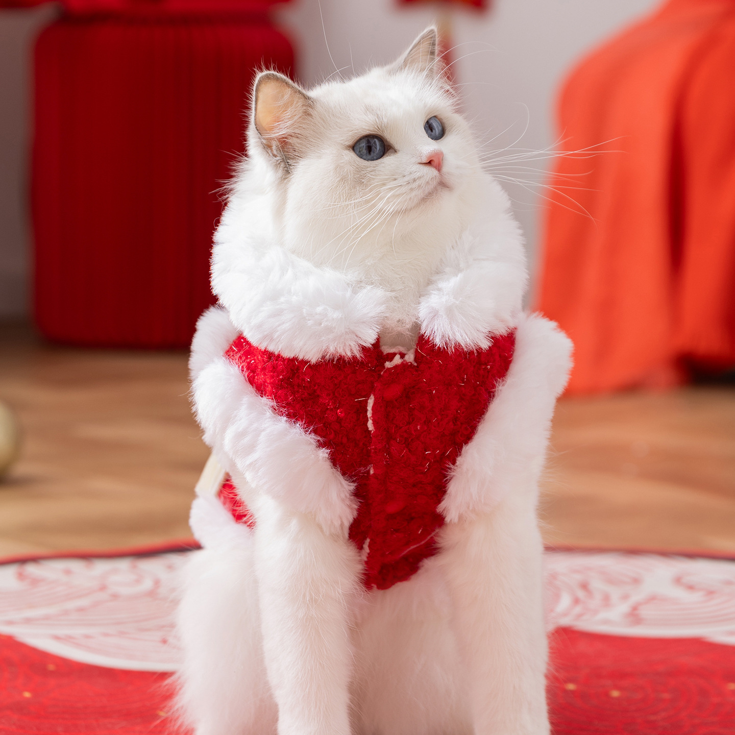 Warming vest for cats, Chinese style