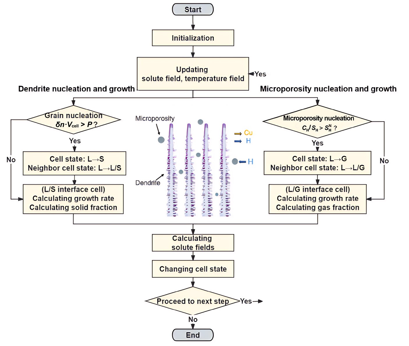 Numerical simulation of microstructure and microporosity morphology in directional solidification of aluminum-copper alloys: Effect of copper content and withdrawal rate