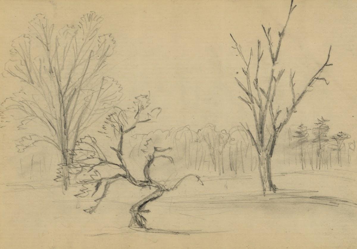 Trees 1860 1865