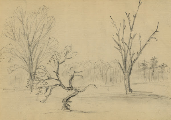 Trees 1860 1865