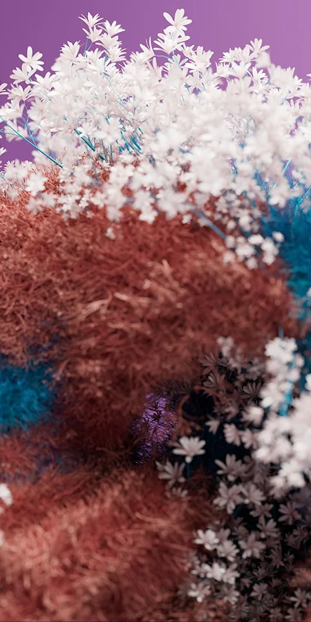Abstract Floral Moss Sculpture 2K Phone Wallpaper
