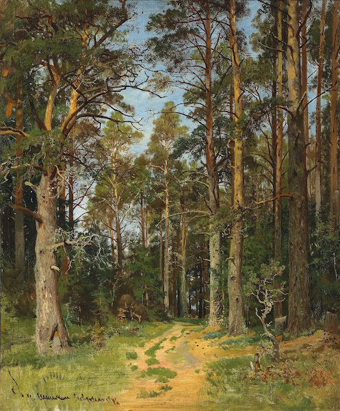 Siverskaya 1896