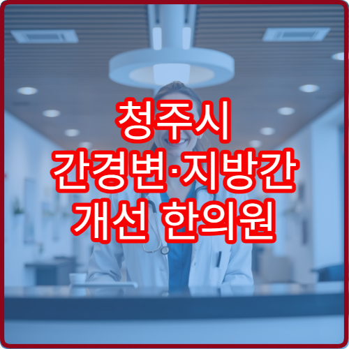 청주시 간경변·지방간 개선 한의원 한약 치료 3개월 변화