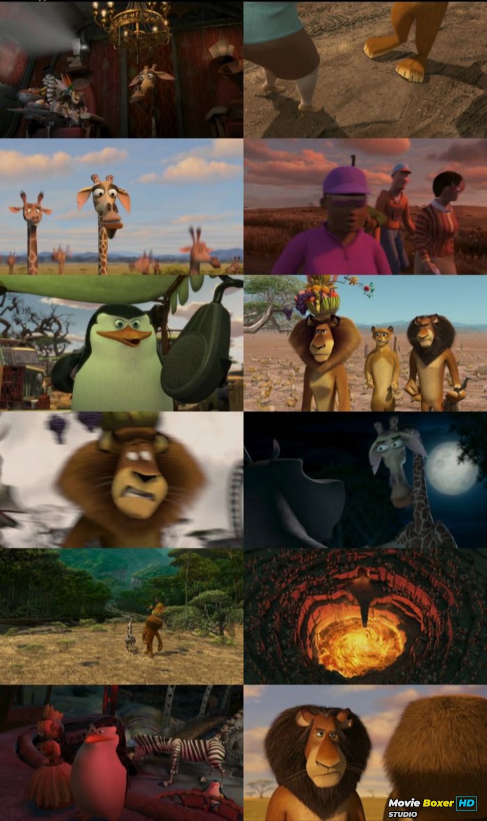 Screenshots Grid