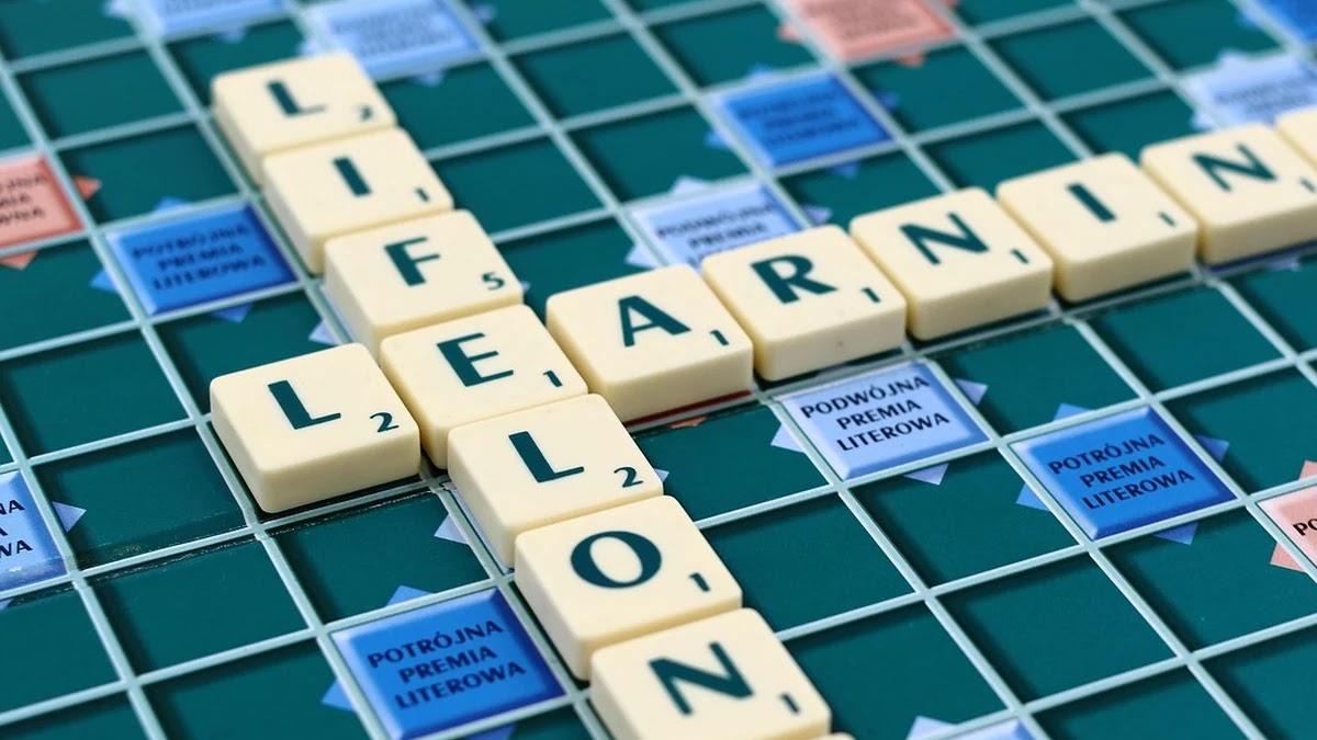 교육 제도 변화에 따른 맞춤형 진로 탐색 및 커리어 설계 방법