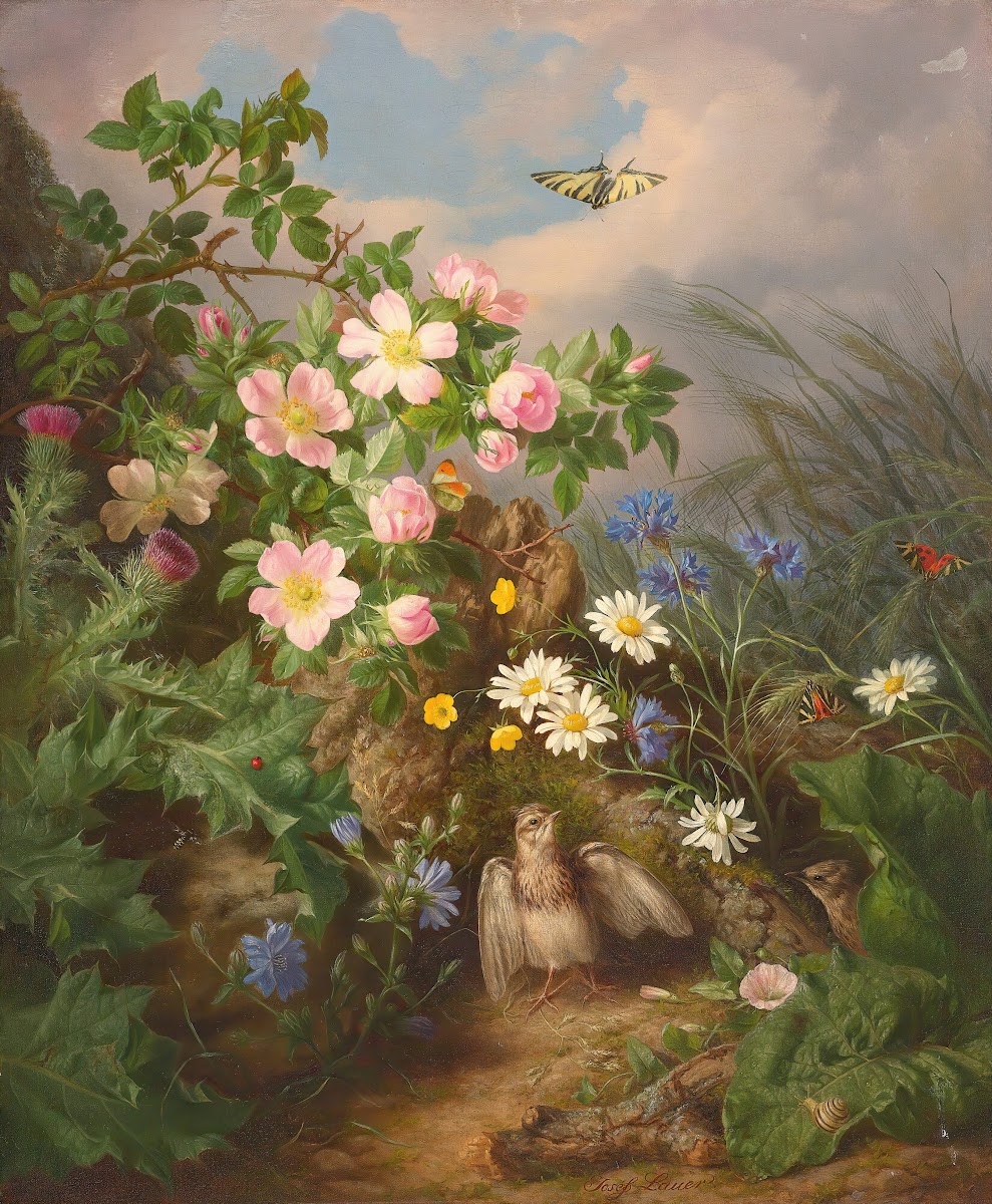 Still life with bird
