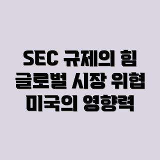 미국 SEC 규제, 글로벌 시장 영향, SEC 규제 흐름, 금융 규제 변화, 미국 규제 정책