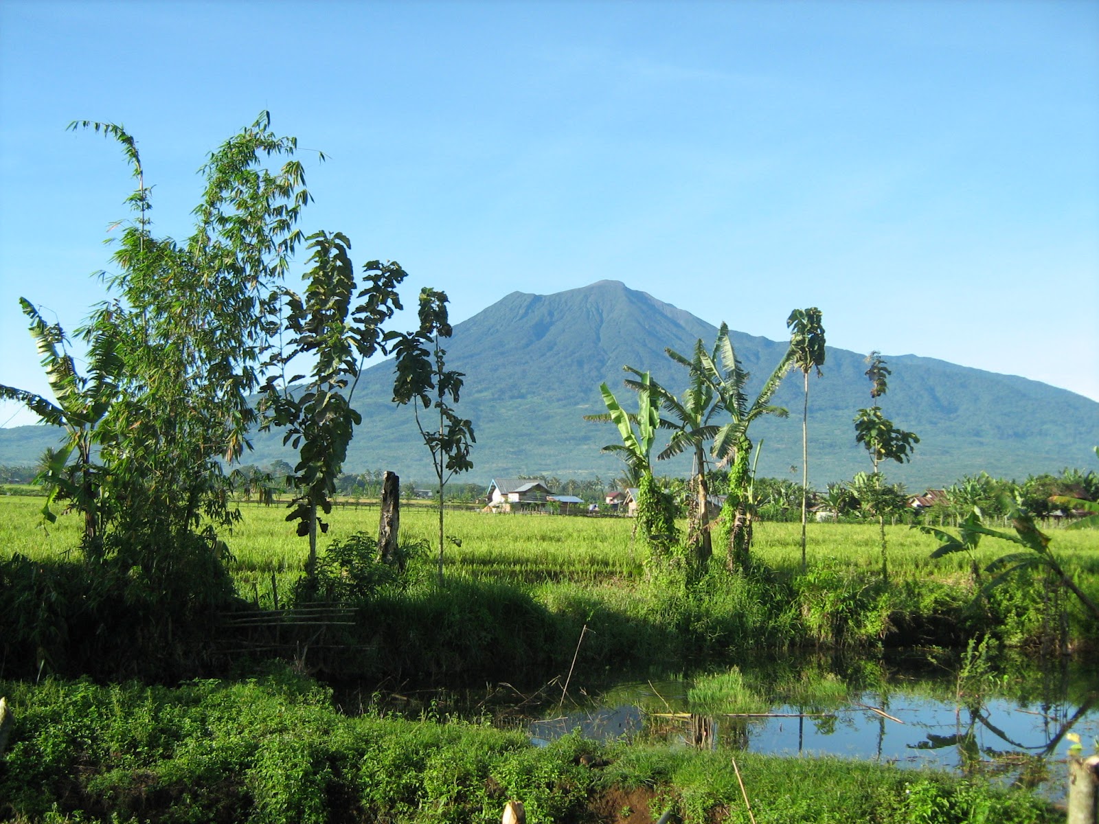 Keindahan Alam dan Budaya Pagar Alam: Destinasi Wisata Sumatera Selatan