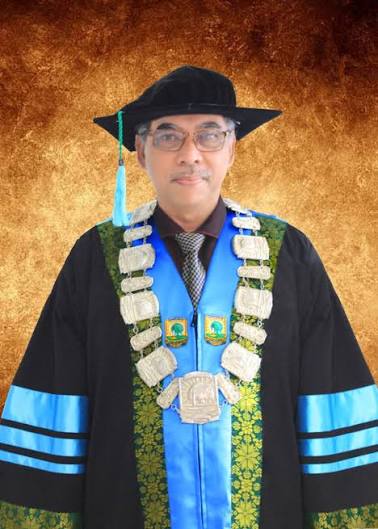 Prof. Dr. rer. soz. Nursyirwan Effendi