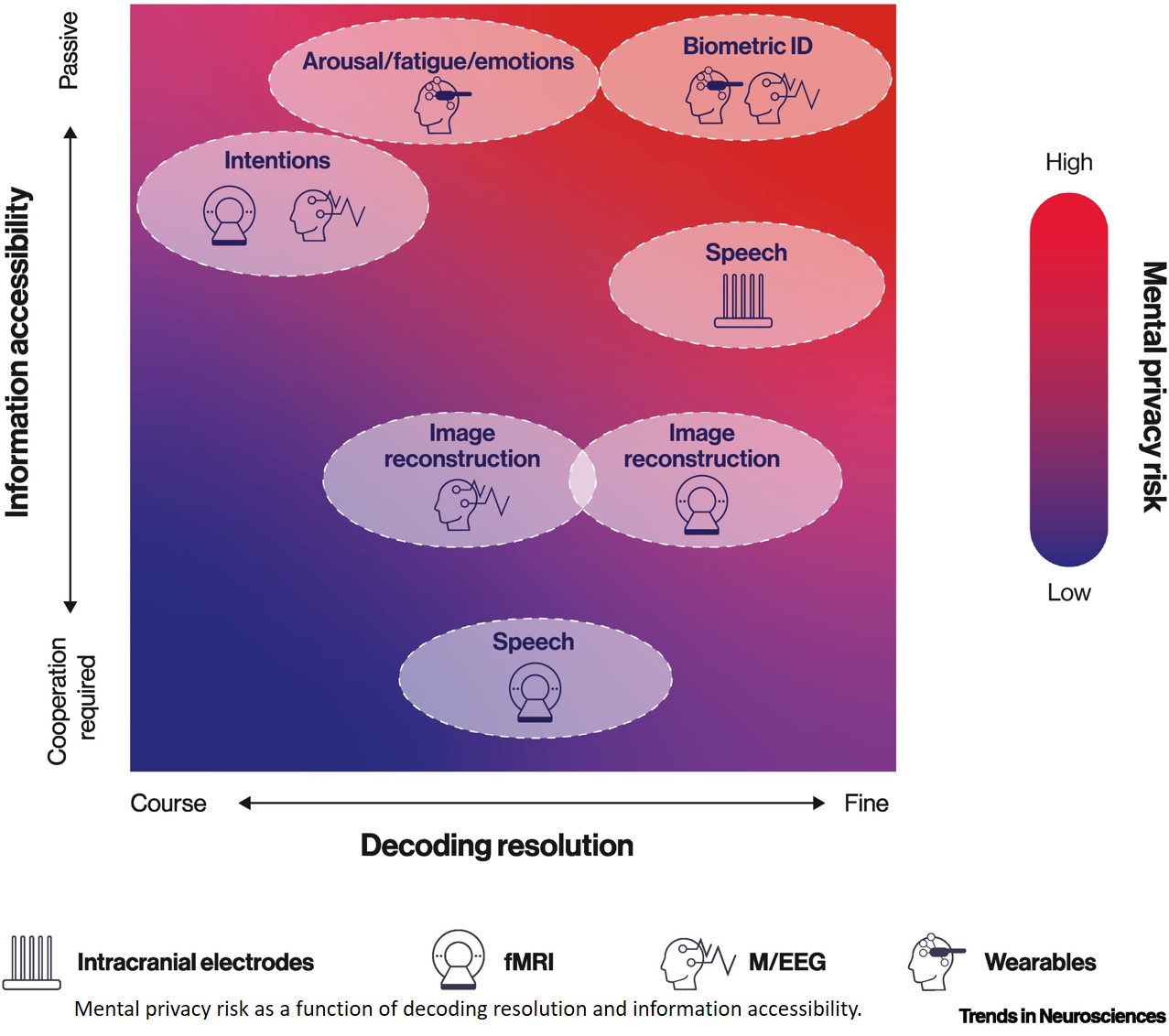 When minds become data: brain–computer interfaces and the future of mental privacy