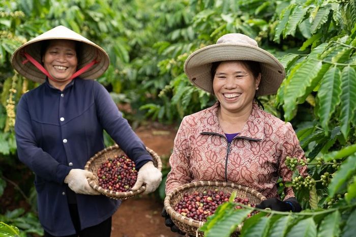 Làm thế nào để sàn giao dịch hàng hóa phái sinh thực sự hiệu quả? - Tạp chí Kinh Tế Sài Gòn