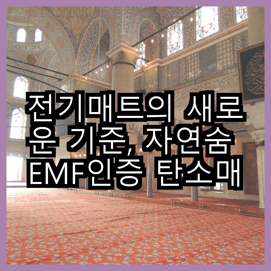 전기매트의 새로운 기준, 자연숨 EMF인증 탄소매트 vs 한일의료기 온돌마루, 어떤 선택이 더 효율적일까? 썸네일