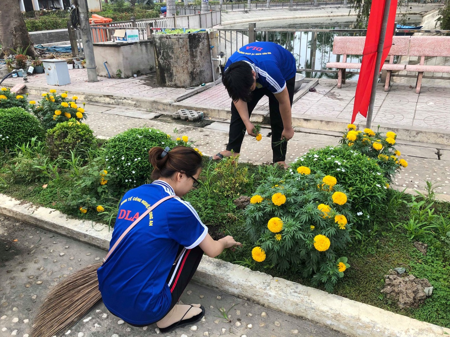 Làm sạch các ô trồng hoa kiểng