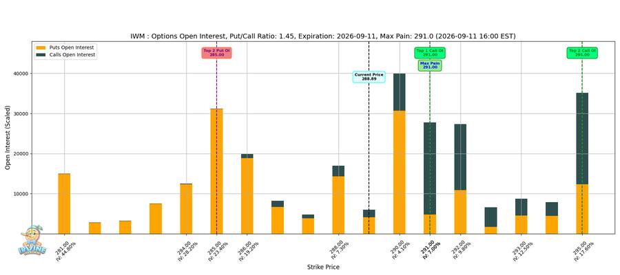IWM Options